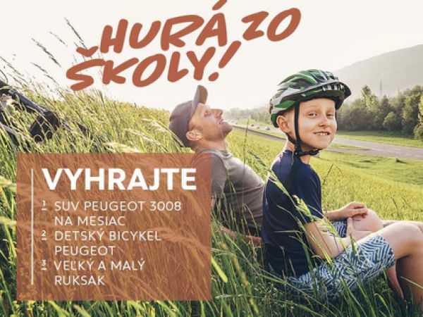 sutaz v servisoch