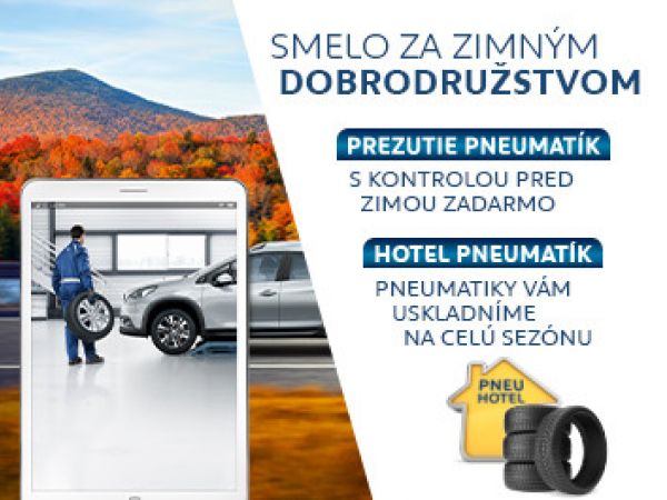 sutaz v servisoch